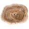 Novatto Petrified Fossil Wood Vessel Sink, Irregular Shape and Color NOSV-FW - alternate 5